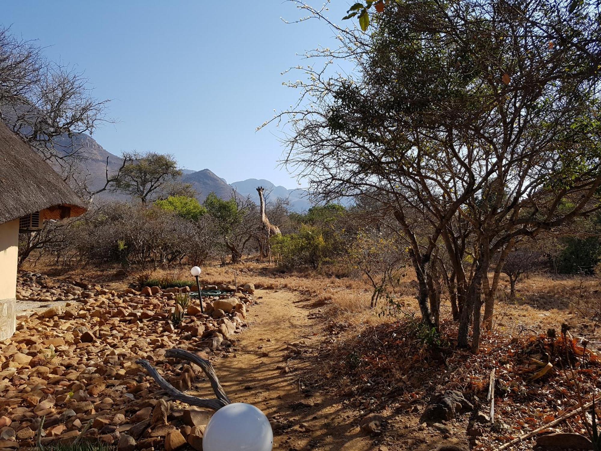 Bona Intaba Game Lodge
